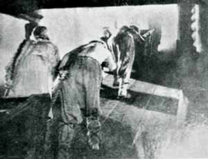 Салазочная откатка руды (от забоев по штрекам и штольне), 1887 год